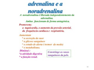 Promovem;
a taquicardia, o aumento da pressão arterial,
da frequência cardíaca e respiratória,
Aumentam
* a secreção do suor
* a glicose sanguíneo
* o estado de alerta ( tremor do medo)
* o metabolismo.
Diminui :
*a atividade digestiva
* a função renal.
Constringe os vasos
sanguíneos da pele.
adrenalina e a
noradrenalina
A noradrenalina é liberada independentemente da
adrenalina.
Ambas funcionam de forma antagónica.
58
 