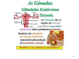 As Gónadas são os
órgãos do sistema
reprodutor masculino
efeminino ondeseproduzemasgâmetas.
Também são glândulas
do sistema endócrino,
responsáveispelaprodução
de hormônios sexuais.
- Remitir-se aos Sistemas reprodutores -
As Gónadas.
Glândulas Endócrinas
Sexuais.
60
 