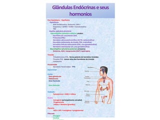 GlândulasEndócrinaseseus
hormonios
Eixo hipotálamo - hipofisário
Hipotálamo
ADH Antidiuretica, Ocitocina, CRH •
Dopamina • GHRH • GnRH • Somatostatina
TRH
Hipófise (glândula pituitária)
Adenohipófise (pituitária anterior) produz:
Hormônio do crescimento (GH)
Prolactina (PRL)
Hormônio adrenocorticotrófico (ACTH, corticotrofina)
Hormônio estimulante da tiroide (TSH, tirotrofina)
Hormônio folículo-estimulante (FSH, uma gonadotrofina)
Hormônio luteinizante (LH, uma gonadotrofina)
Neurohipófise (pituitária posterior) armazena:
Ocitocina, ADH, Vasopressina (AVP ) Lipotropina
Tireoide
Triiodotironina (T3),, forma potente de hormônio tireóideo
Tiroxina (T4), menos ativa dos hormônios da tireoide
Calcitonina
Paratireoide
Hormônio Paratiroideo - PTH
Suprarrenal
Cortex
Zona glomerular
Aldosterona
Zona fascicular
Zona Reticular
Testículo
Testosterona • AMH • Inibina
Ovário
Estrogénio (principalmente estradiol)
Progesterona
Inibina • Relaxina (gravidez)
Placenta
HCG • HPL • estrogênio • progesterona
Pâncreas
Glucagon
Insulina
 