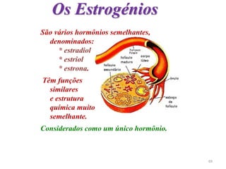 Os Estrogénios
São vários hormônios semelhantes,
denominados:
* estradiol
* estriol
* estrona.
Têm funções
similares
e estrutura
química muito
semelhante.
Considerados como um único hormônio.
69
 