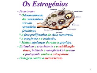 Os Estrogénios
- Promovem:
* Odesenvolvimento
dascaracterísticas
sexuais
secundárias
femininas.
* A fase proliferativa do ciclo menstrual.
* A ovogénese e a ovulação.
* Muitas mudanças durante a gravidez.
- Estimulam o crescimento e a calcificação
óssea, inibindo aremoçãodoCa+doosso
e protegendo contra a osteoporose.
- Protegem contra a aterosclerose.
70
 