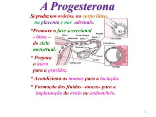 A Progesterona
Seproduznos ovários, no corpo lúteo,
na placenta e nas adrenais.
*Promove a fase secrecional
- lútea –
do ciclo
menstrual.
* Prepara
o útero
para a gravidez.
* Acondiciona as mamas para a lactação.
* Formação dos fluidos –mucos- para a
implantação do óvulo no endométrio.
71
 