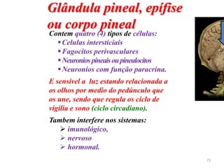 Glândula pineal, epífise
ou corpo pineal
Contem quatro (4) tipos de células:
Celulas intersticiais
Fagocitos perivasculares
Neuronios pineaisoupinealocitos
Neuronios com função paracrina.
E sensivel a luz estando relacionada a
os olhos por medio do pedúnculo que
os une, sendo que regula os ciclo de
vigília e sono (ciclo circadiano).
Tambem interfere nos sistemas:
 imunológico,
 nervoso
 hormonal.
73
 