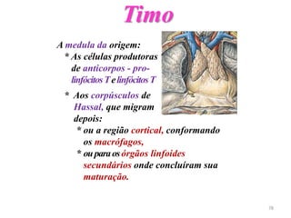 Timo
A medula da origem:
* As células produtoras
de anticorpos - pro-
linfócitosTelinfócitosT
* Aos corpúsculos de
Hassal, que migram
depois:
* ou a região cortical, conformando
os macrófagos,
* ouparaosórgãos linfoides
secundários onde concluíram sua
maturação.
78
 