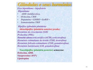 Glândulas e seus hormónios
Eixo hipotálamo - hipofisário
Hipotálamo
• ADH Antidiuretica,
• Ocitocina, CRH
• Dopamina • GHRH • GnRH •
• Somatostatina TRH
Hipófise (glândula pituitária)
Adenohipófise (pituitária anterior) produz:
Hormônio do crescimento (GH)
Prolactina (PRL)
Hormônioadrenocorticotrófico (ACTH,corticotrofina)
Hormônio estimulante da tiroide (TSH, tirotrofina)
Hormônio folículo-estimulante (FSH, gonadotrofina)
Hormônio luteinizante (LH, gonadotrofina)
Neurohipófise (pituitária posterior) armazena:
Ocitocina, ADH,
Vasopressina (AVP )
Lipotropina
80
 