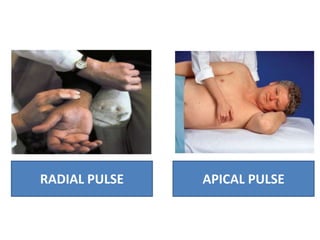 vital sign is more effective for health care | PPT
