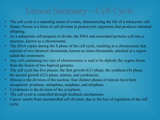 Lesson Summary—Cell Cycle
• The cell cycle is a repeating series of events, characterizing the life of a eukaryotic cell.
• Binary fission is a form of cell division in prokaryotic organisms that produces identical
offspring.
• As a eukaryotic cell prepares to divide, the DNA and associated proteins coil into a
structure, known as a chromosome.
• The DNA copies during the S phase of the cell cycle, resulting in a chromosome that
consists of two identical chromatids, known as sister chromatids, attached at a region
called the centromere.
• Any cell containing two sets of chromosomes is said to be diploid; the zygote forms
from the fusion of two haploid gametes.
• The cell cycle has five phases: the first growth (G1) phase, the synthesis (S) phase,
the second growth (G2) phase, mitosis, and cytokinesis.
• Mitosis is the division of the nucleus; four distinct phases of mitosis have been
recognized: prophase, metaphase, anaphase, and telophase.
• Cytokinesis is the division of the cytoplasm.
• The cell cycle is controlled through feedback mechanisms.
• Cancer results from uncontrolled cell division, due to the loss of regulation of the cell
cycle.
 