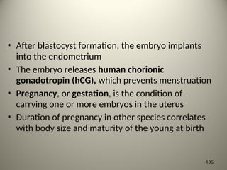 • After blastocyst formation, the embryo implants
into the endometrium
• The embryo releases human chorionic
gonadotropin (hCG), which prevents menstruation
• Pregnancy, or gestation, is the condition of
carrying one or more embryos in the uterus
• Duration of pregnancy in other species correlates
with body size and maturity of the young at birth
106
 
