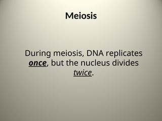 Meiosis
During meiosis, DNA replicates
once, but the nucleus divides
twice.
16
 