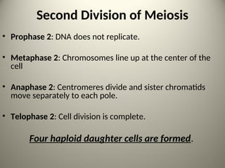 Second Division of Meiosis
• Prophase 2: DNA does not replicate.
• Metaphase 2: Chromosomes line up at the center of the
cell
• Anaphase 2: Centromeres divide and sister chromatids
move separately to each pole.
• Telophase 2: Cell division is complete.
Four haploid daughter cells are formed.
19
 