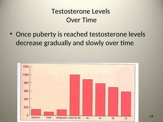 Testosterone Levels
Over Time
• Once puberty is reached testosterone levels
decrease gradually and slowly over time
24
 