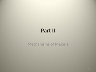 Part II
Mechanisms of Meiosis
27
 