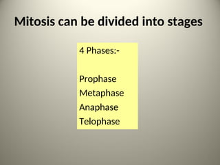 Mitosis can be divided into stages
4 Phases:-
Prophase
Metaphase
Anaphase
Telophase
3
 