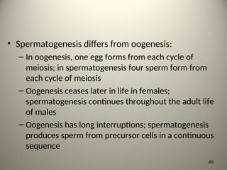 • Spermatogenesis differs from oogenesis:
– In oogenesis, one egg forms from each cycle of
meiosis; in spermatogenesis four sperm form from
each cycle of meiosis
– Oogenesis ceases later in life in females;
spermatogenesis continues throughout the adult life
of males
– Oogenesis has long interruptions; spermatogenesis
produces sperm from precursor cells in a continuous
sequence
49
 