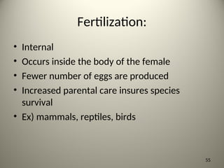 Fertilization:
• Internal
• Occurs inside the body of the female
• Fewer number of eggs are produced
• Increased parental care insures species
survival
• Ex) mammals, reptiles, birds
55
 