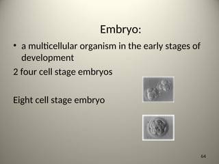 Embryo:
• a multicellular organism in the early stages of
development
2 four cell stage embryos
Eight cell stage embryo
64
 