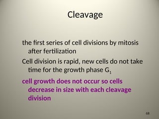 Cleavage
the first series of cell divisions by mitosis
after fertilization
Cell division is rapid, new cells do not take
time for the growth phase G1
cell growth does not occur so cells
decrease in size with each cleavage
division
68
 