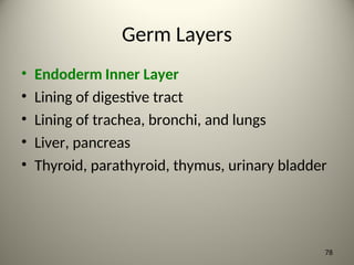 Germ Layers
• Endoderm Inner Layer
• Lining of digestive tract
• Lining of trachea, bronchi, and lungs
• Liver, pancreas
• Thyroid, parathyroid, thymus, urinary bladder
78
 