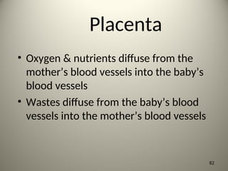 Placenta
• Oxygen & nutrients diffuse from the
mother’s blood vessels into the baby’s
blood vessels
• Wastes diffuse from the baby’s blood
vessels into the mother’s blood vessels
82
 