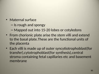 • Maternal surface
– Is rough and spongy
– Mapped out into 15-20 lobes or cotyledons
• From chorionic plate arise the stem villi and extend
to the basal plate.These are the functional units of
the placenta
• Each villi is made up of outer syncytiotrophoblast(for
transfer),cytotrophoblast(for synthesis),central
stroma containing fetal capillaries etc and basement
membrane
86
 