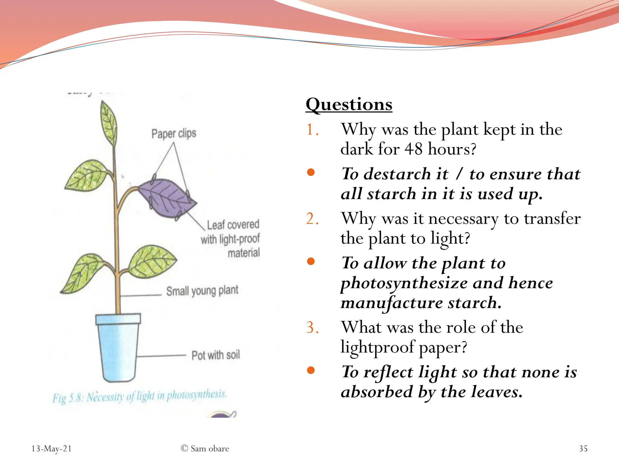 NUTRITION IN PLANTS AND ANIMALS QUESTIONS AND ANSWERS FORM 1 PDF visual data 5