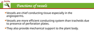 Functions of vessels
Vessels are chief conducting tissue especially in the
angiosperms.
Vessels are more efficient conducting system than tracheids due
to presence of perforation plates.
They also provide mechanical support to the plant body.
 
