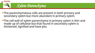 Xylem Parenchyma
The parenchymatous cells are present in both primary and
secondary xylem but more abundant in primary xylem.
The cell wall of xylem parenchyma in primary xylem is thin and
made up of cellulose but that found in secondary xylem is
thickened, lignified and have pits.
 