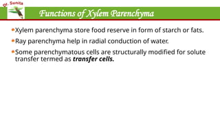 Functions of Xylem Parenchyma
Xylem parenchyma store food reserve in form of starch or fats.
Ray parenchyma help in radial conduction of water.
Some parenchymatous cells are structurally modified for solute
transfer termed as transfer cells.
 