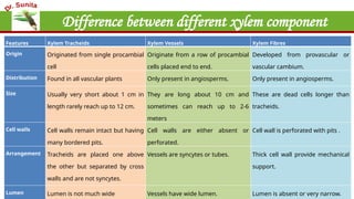 Difference between different xylem component
Features Xylem Tracheids Xylem Vessels Xylem Fibres
Origin Originated from single procambial
cell
Originate from a row of procambial
cells placed end to end.
Developed from provascular or
vascular cambium.
Distribution Found in all vascular plants Only present in angiosperms. Only present in angiosperms.
Size Usually very short about 1 cm in
length rarely reach up to 12 cm.
They are long about 10 cm and
sometimes can reach up to 2-6
meters
These are dead cells longer than
tracheids.
Cell walls Cell walls remain intact but having
many bordered pits.
Cell walls are either absent or
perforated.
Cell wall is perforated with pits .
Arrangement Tracheids are placed one above
the other but separated by cross
walls and are not syncytes.
Vessels are syncytes or tubes. Thick cell wall provide mechanical
support.
Lumen Lumen is not much wide Vessels have wide lumen. Lumen is absent or very narrow.
 