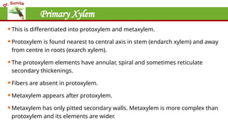 Primary Xylem
This is differentiated into protoxylem and metaxylem.
Protoxylem is found nearest to central axis in stem (endarch xylem) and away
from centre in roots (exarch xylem).
The protoxylem elements have annular, spiral and sometimes reticulate
secondary thickenings.
Fibers are absent in protoxylem.
Metaxylem appears after protoxylem.
Metaxylem has only pitted secondary walls. Metaxylem is more complex than
protoxylem and its elements are wider.
 