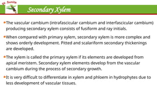 Secondary Xylem
The vascular cambium (intrafascicular cambium and interfascicular cambium)
producing secondary xylem consists of fusiform and ray initials.
When compared with primary xylem, secondary xylem is more complex and
shows orderly development. Pitted and scalariform secondary thickenings
are developed.
The xylem is called the primary xylem if its elements are developed from
apical meristem. Secondary xylem elements develop from the vascular
cambium during the process of secondary growth.
It is very difficult to differentiate in xylem and phloem in hydrophytes due to
less development of vascular tissues.
 