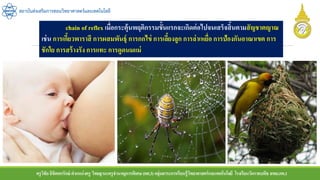 ครูวิชัยลิขิตพรรักษ์ ตาแหน่งครู วิทยฐานะครูชานาญการพิเศษ(คศ.3)กลุ่มสาระการเรียนรู้วิทยาศาสตร์และเทคโนโลยี โรงเรียนวัดราชบพิธ สพม.กท.1
สถาบันส่งเสริมการสอนวิทยาศาสตร์และเทคโนโลยี
chain of reflex เมื่อกระตุ้นพฤติกรรมขั้นแรกจะเกิดต่อไปจนเสร็จสิ้นตามสัญชาตญาณ
เช่น การเกี้ยวพาราสี การผสมพันธุ์ การกกไข่ การเลี้ยงลูก การล่าเหยื่อ การป้องกันอาณาเขต การ
ชักใย การสร้างรัง การแทะ การดูดนมแม่
 