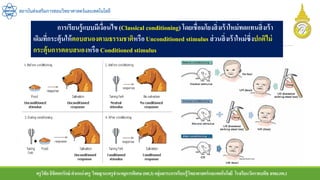 ครูวิชัยลิขิตพรรักษ์ ตาแหน่งครู วิทยฐานะครูชานาญการพิเศษ(คศ.3)กลุ่มสาระการเรียนรู้วิทยาศาสตร์และเทคโนโลยี โรงเรียนวัดราชบพิธ สพม.กท.1
สถาบันส่งเสริมการสอนวิทยาศาสตร์และเทคโนโลยี
การเรียนรู้แบบมีเงื่อนไข (Classical conditioning) โดยเชื่อมโยงสิ่งเร้าใหม่ทดแทนสิ่งเร้า
เดิมที่กระตุ้นให้ตอบสนองตามธรรมชาติหรือUnconditioned stimulus ส่วนสิ่งเร้าใหม่ซึ่งปกติไม่
กระตุ้นการตอบสนองหรือ Conditioned stimulus
 