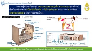 ครูวิชัยลิขิตพรรักษ์ ตาแหน่งครู วิทยฐานะครูชานาญการพิเศษ(คศ.3)กลุ่มสาระการเรียนรู้วิทยาศาสตร์และเทคโนโลยี โรงเรียนวัดราชบพิธ สพม.กท.1
สถาบันส่งเสริมการสอนวิทยาศาสตร์และเทคโนโลยี
การเรียนรู้แบบลองผิดลองถูก (Operant conditioning หรือ Trial and error) การเรียนรู้
เชื่อมโยงพฤติกรรมกับการได้ผลดีหรือผลเสีย เมื่อได้รางวัลก็จะแสดงพฤติกรรมนั้นซ้า แต่เมื่อถูก
ลงโทษก็จะหลีกเลี่ยงที่จะแสดงพฤติกรรมนั้นอีก
 