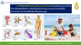 ครูวิชัยลิขิตพรรักษ์ ตาแหน่งครู วิทยฐานะครูชานาญการพิเศษ(คศ.3)กลุ่มสาระการเรียนรู้วิทยาศาสตร์และเทคโนโลยี โรงเรียนวัดราชบพิธ สพม.กท.1
สถาบันส่งเสริมการสอนวิทยาศาสตร์และเทคโนโลยี
ความสัมพันธ์พฤติกรรมและวิวัฒนาการระบบประสาท โดยมนุษย์สมองส่วนหน้าเจริญ
ดี มีการใช้เหตุผลที่ซับซ้อนส่วนสัตว์เลี้ยงลูกด้วยน้านมและนก สมองส่วนหน้าเจริญขึ้น
ส่วนกลางเล็กลง มีการเรียนรู้ที่ซับซ้อนใช้เหตุผลบางกลุ่ม
 