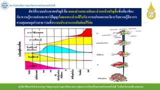 ครูวิชัยลิขิตพรรักษ์ ตาแหน่งครู วิทยฐานะครูชานาญการพิเศษ(คศ.3)กลุ่มสาระการเรียนรู้วิทยาศาสตร์และเทคโนโลยี โรงเรียนวัดราชบพิธ สพม.กท.1
สถาบันส่งเสริมการสอนวิทยาศาสตร์และเทคโนโลยี
สัตว์ที่ระบบประสาทเจริญดี คือ สมองส่วนกลางเล็กลง ส่วนหน้าเจริญขึ้นซึ่งเกี่ยวข้อง
กับ ความรู้ความจาและเชาว์ปัญญาโดยเฉพาะส่วนซีรีบรัม การแปรผลจากอวัยวะรับความรู้สึก การ
ควบคุมสมดุลร่างกาย รวมทั้งระบบประสานงานกับต่อมไร้ท่อ
 