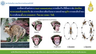 ครูวิชัยลิขิตพรรักษ์ ตาแหน่งครู วิทยฐานะครูชานาญการพิเศษ(คศ.3)กลุ่มสาระการเรียนรู้วิทยาศาสตร์และเทคโนโลยี โรงเรียนวัดราชบพิธ สพม.กท.1
สถาบันส่งเสริมการสอนวิทยาศาสตร์และเทคโนโลยี
การสื่อสารด้วยท่าทาง (visual communication) การเคลื่อนไหวใช้สื่อสาร เช่น อ่อนน้อม
เคารพ ยอมแพ้ เอาอกเอาใจ เช่น การกระดิกหางต้อนรับและหางตกกลัวของสุนัขการแสดงสีหน้าของ
ลิง การเต้นของผึ้งงาน (แบบเลข 8 = ไกล และวงกลม = ใกล้)
 