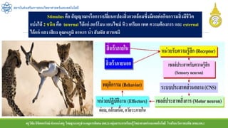 ครูวิชัยลิขิตพรรักษ์ ตาแหน่งครู วิทยฐานะครูชานาญการพิเศษ(คศ.3)กลุ่มสาระการเรียนรู้วิทยาศาสตร์และเทคโนโลยี โรงเรียนวัดราชบพิธ สพม.กท.1
สถาบันส่งเสริมการสอนวิทยาศาสตร์และเทคโนโลยี
Stimulus คือ สัญญาณหรือการเปลี่ยนแปลงสิ่งแวดล้อมซึ่งมีผลต่อกิจกรรมสิ่งมีชีวิต
แบ่งได้ 2 ชนิด คือ internal ได้แก่ ฮอร์โมน เอนไซม์ หิว เครียด เพศ ความต้องการ และ external
ได้แก่ แสง เสียง อุณหภูมิ อาหาร น้า สัมผัส สารเคมี
1.
 