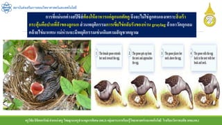 ครูวิชัยลิขิตพรรักษ์ ตาแหน่งครู วิทยฐานะครูชานาญการพิเศษ(คศ.3)กลุ่มสาระการเรียนรู้วิทยาศาสตร์และเทคโนโลยี โรงเรียนวัดราชบพิธ สพม.กท.1
สถาบันส่งเสริมการสอนวิทยาศาสตร์และเทคโนโลยี
การที่แม่นกต่างสปีชีส์ต้องให้อาหารแก่ลูกนกคัคคู ถึงจะไม่ใช่ลูกตนเองเพราะสิ่งเร้า
กระตุ้นคือปากที่อ้าของลูกนก ส่วนพฤติกรรมการเขี่ยไข่กลับรังของห่าน graylag ถ้าเอาวัตถุกลม
คล้ายไข่มาแทน แม่ห่านจะมีพฤติกรรมเช่นเดิมตามสัญชาตญาณ
 