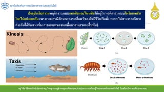 ครูวิชัยลิขิตพรรักษ์ ตาแหน่งครู วิทยฐานะครูชานาญการพิเศษ(คศ.3)กลุ่มสาระการเรียนรู้วิทยาศาสตร์และเทคโนโลยี โรงเรียนวัดราชบพิธ สพม.กท.1
สถาบันส่งเสริมการสอนวิทยาศาสตร์และเทคโนโลยี
ปัจจุบันเรียกรวมพฤติกรรมแบบแทกซิสและไคเนซิสให้อยู่ในพฤติกรรมแบบโอเรียนเทชัน
โดยไม่แบ่งแยกกัน เพราะบางกรณีลักษณะการเคลื่อนที่ของสิ่งมีชีวิตเกิดทั้ง 2 แบบไม่สามารถอธิบาย
ต่างกันได้ชัดเจน เช่น การอพยพของนกเพื่อหาอาหารและสืบพันธุ์
 