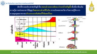 ครูวิชัยลิขิตพรรักษ์ ตาแหน่งครู วิทยฐานะครูชานาญการพิเศษ(คศ.3)กลุ่มสาระการเรียนรู้วิทยาศาสตร์และเทคโนโลยี โรงเรียนวัดราชบพิธ สพม.กท.1
สถาบันส่งเสริมการสอนวิทยาศาสตร์และเทคโนโลยี
สัตว์ที่ระบบประสาทเจริญดี คือ สมองส่วนกลางเล็กลง ส่วนหน้าเจริญขึ้นซึ่งเกี่ยวข้องกับ
ความรู้ความจาและเชาว์ปัญญาโดยเฉพาะส่วนซีรีบรัม การแปรผลจากอวัยวะรับความรู้สึก การ
ควบคุมดุลยภาพ และประสานงานกับต่อมไร้ท่อฮอร์โมน
 