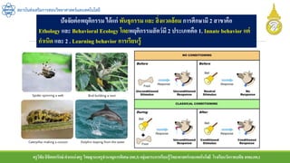 ครูวิชัยลิขิตพรรักษ์ ตาแหน่งครู วิทยฐานะครูชานาญการพิเศษ(คศ.3)กลุ่มสาระการเรียนรู้วิทยาศาสตร์และเทคโนโลยี โรงเรียนวัดราชบพิธ สพม.กท.1
สถาบันส่งเสริมการสอนวิทยาศาสตร์และเทคโนโลยี
ปัจจัยต่อพฤติกรรม ได้แก่ พันธุกรรม และ สิ่งแวดล้อม การศึกษามี 2 สาขาคือ
Ethology และ Behavioral Ecology โดยพฤติกรรมสัตว์มี 2 ประเภทคือ 1. Innate behavior แต่
กาเนิด และ 2 . Learning behavior การเรียนรู้
 