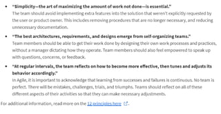 awfknflkanwl management project notes5.pdf
