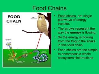 Food Chains
• Food chains are single
pathways of energy
transfer.
• The arrows represent the
way the energy is flowing.
• So the energy is flowing
from the frog to the snake
in this food chain
• Food chains are too simple
to encompass a whole
ecosystems interactions
 