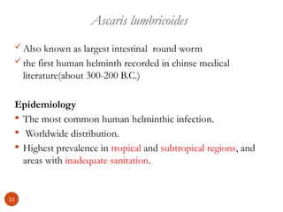 Ascaris lumbricoides
Also known as largest intestinal round worm
the first human helminth recorded in chinse medical
literature(about 300-200 B.C.)
Epidemiology
 The most common human helminthic infection.
 Worldwide distribution.
 Highest prevalence in tropical and subtropical regions, and
areas with inadequate sanitation.
10
 