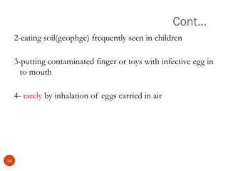 Cont…
2-eating soil(geophge) frequently seen in children
3-putting contaminated finger or toys with infective egg in
to mouth
4- rarely by inhalation of eggs carried in air
14
 