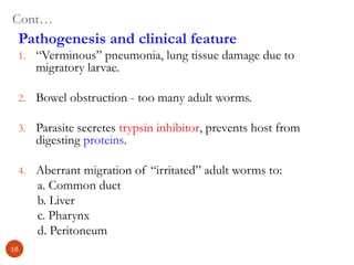 Cont…
Pathogenesis and clinical feature
1. “Verminous” pneumonia, lung tissue damage due to
migratory larvae.
2. Bowel obstruction - too many adult worms.
3. Parasite secretes trypsin inhibitor, prevents host from
digesting proteins.
4. Aberrant migration of “irritated” adult worms to:
a. Common duct
b. Liver
c. Pharynx
d. Peritoneum
16
 