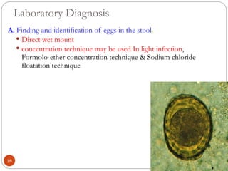 Laboratory Diagnosis
A. Finding and identification of eggs in the stool.
 Direct wet mount
 concentration technique may be used In light infection,
Formolo-ether concentration technique & Sodium chloride
floatation technique
18
 