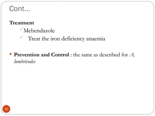 Cont…
Treatment
Mebendazole
 Treat the iron deficiency anaemia
 Prevention and Control : the same as described for A.
lumbricodes
30
 