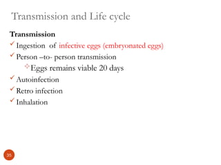 Transmission and Life cycle
Transmission
Ingestion of infective eggs (embryonated eggs)
Person –to- person transmission
Eggs remains viable 20 days
Autoinfection
Retro infection
Inhalation
35
 